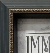 Load image into Gallery viewer, Bradman cricket fan display