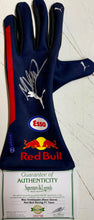 Load image into Gallery viewer, Max Verstappen Signed F1 Red Bull Race Glove & Championship Print