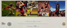 Load image into Gallery viewer, JAMES HIRD Signed “First Class” Lithograph Display