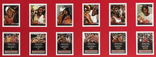 Load image into Gallery viewer, Framed MJ Bulls Jersey with 6 Championship Rings