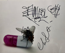 Load image into Gallery viewer, RED HOT CHILI PEPPERS - ANTHONY KIEDIS, FLEA, CHAD SMITH & JOSH KLINGHOFFER Signed Photo & CDs Display