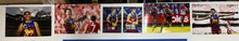 Load image into Gallery viewer, Framed Brisbane Lions photo display