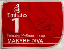 Load image into Gallery viewer, MAKYBE DIVA - Glen Boss Signed Saddle Cloth & 3-Peat Melbourne Cup Print Display