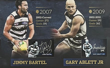 Load image into Gallery viewer, Framed Geelong Cats collectible lithograph