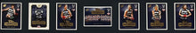 Load image into Gallery viewer, Geelong Cats player-signed memorabilia