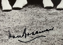 Load image into Gallery viewer, Cricket memorabilia: Bradman & Invincibles autographed print