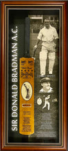 Load image into Gallery viewer, Signed cricket bat and stump framed