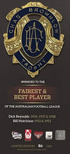 Load image into Gallery viewer, Framed Essendon Brownlow medal display