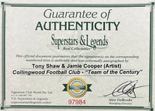 Load image into Gallery viewer, Tony Shaw Team of the Century framed AFL memorabilia print