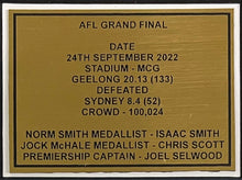 Load image into Gallery viewer, Geelong Cats 2022 premiership framed display