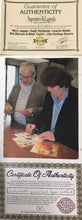 Load image into Gallery viewer, "Sticky Fingers" album picture disc framed