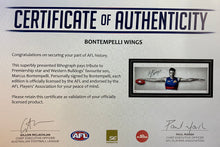 Load image into Gallery viewer, Western Bulldogs Wings poster framed