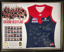 Load image into Gallery viewer, Melbourne Demons 2021 signed premiership jumper display.