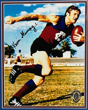 Load image into Gallery viewer, Lion Kings signed photos by Murray, Voss, & more.