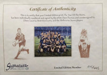 Load image into Gallery viewer, Melbourne Storm signed lithograph with premiership medals, framed