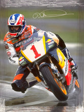 Load image into Gallery viewer, MICK DOOHAN Signed Canvas Display
