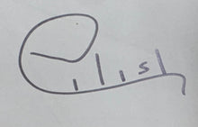 Load image into Gallery viewer, BILLIE EILISH Signed Card &amp; CD/Photo Collage Display
