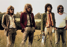 Load image into Gallery viewer, LED ZEPPELIN - ROBERT PLANT &amp; JIMMY PAGE Signed Guitar Pickguard &amp; Photo Collage Display
