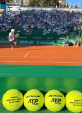 Load image into Gallery viewer, CARLOS ALCARAZ Signed &amp; Tournament Used Tennis Ball &amp; Photo Collage Display
