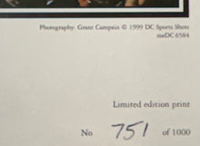 Load image into Gallery viewer, WAYNE CAREY &amp; DENIS PAGAN Signed “1999 Premiers" MCG Panoramic Print Display
