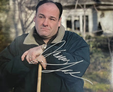 Load image into Gallery viewer, THE SOPRANOS - JAMES GANDOLFINI &amp; CAST Signed Baseball Bat &amp; Photo Collage Display
