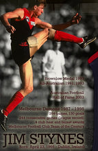 Load image into Gallery viewer, JIM STYNES Signed Melbourne Jumper Display
