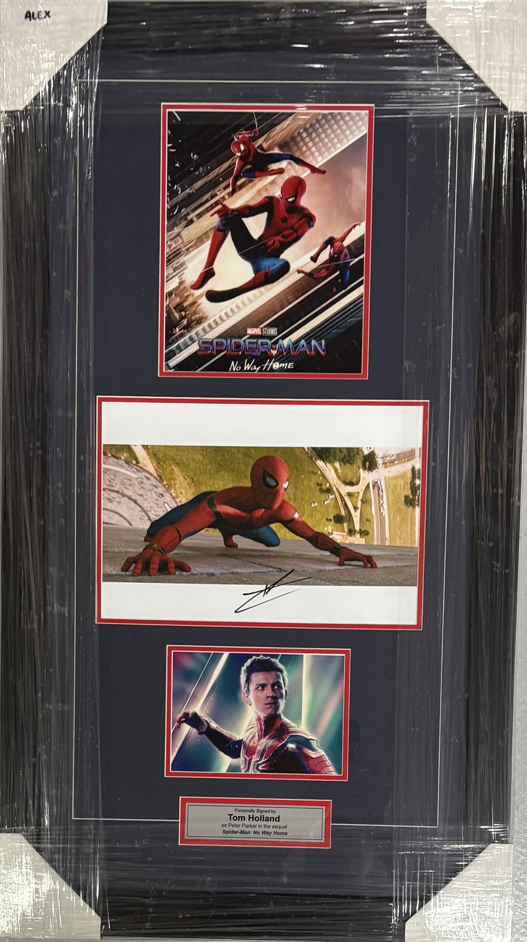TOM HOLLAND Signed 
