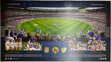 Load image into Gallery viewer, Western Bulldogs 2016 Premiers Team Signed Cards &amp; “Road To Glory” Print Display
