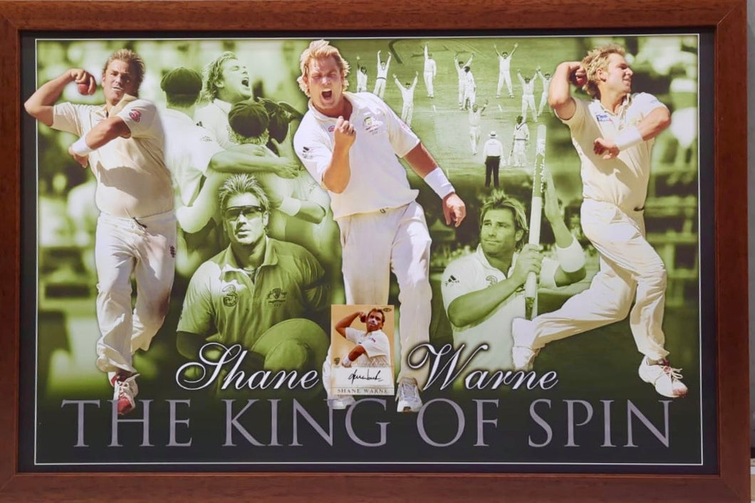 SHANE WARNE Signed Cricket Card & Print Display2