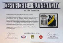 Load image into Gallery viewer, RICHMOND TIGERS “Back To Back in Yellow &amp; Black” Team Signed Jumper Display
