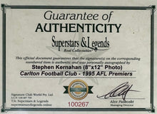 Load image into Gallery viewer, STEPHEN KERNAHAN Signed “1995 Premiers” Photo Collage Display2
