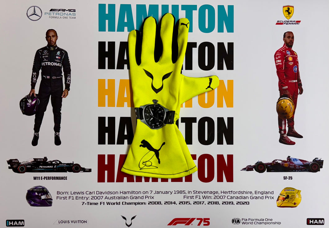 LEWIS HAMILTON Signed Glove Display