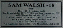 Load image into Gallery viewer, SAM WALSH Signed Lithograph Collage Display
