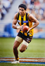 Load image into Gallery viewer, Unframed CYRIL RIOLI Signed Hawthorn Jumper
