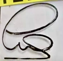 Load image into Gallery viewer, LEWIS HAMILTON Signed 2024 “7 Stars” F1 Helmet
