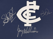 Load image into Gallery viewer, STEPHEN KERNAHAN, GREG WILLIAMS &amp; DAVID PARKIN Signed 1995 AFL Premiers Jumper Display2
