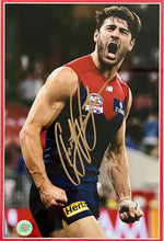 Load image into Gallery viewer, CHRISTIAN PETRACCA Signed 2021 Premiers Photo Collage Display
