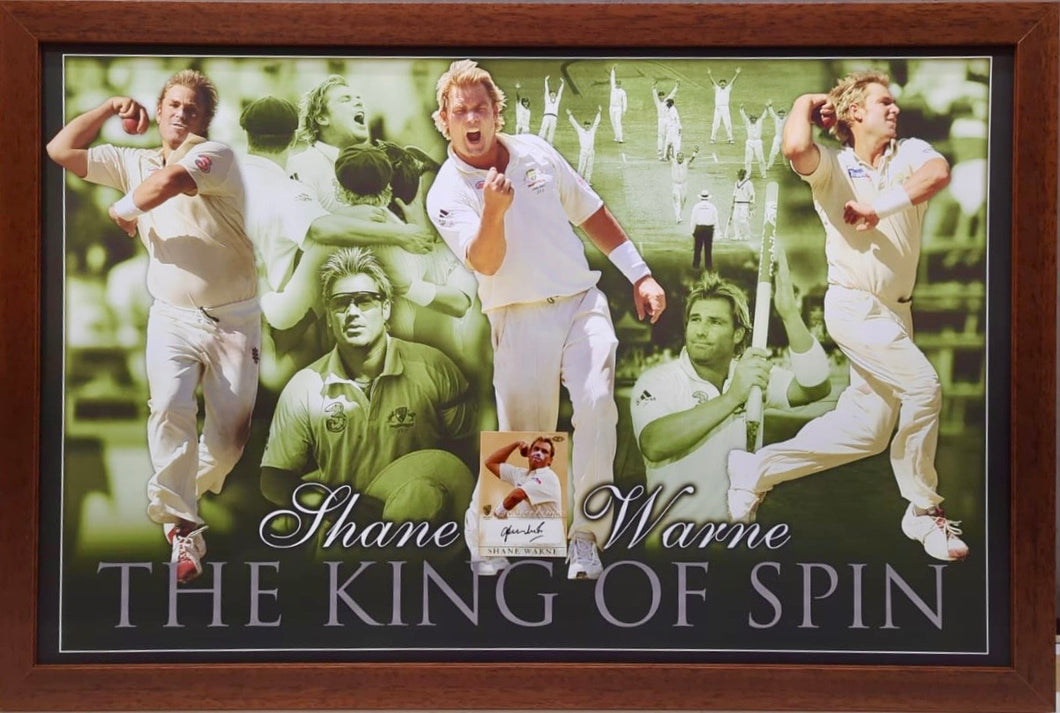 SHANE WARNE Signed Cricket Card & Print Display2