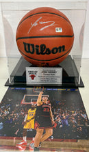 Load image into Gallery viewer, JOSH GIDDEY Signed Basketball in Display Case
