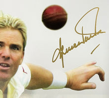 Load image into Gallery viewer, SHANE WARNE Signed “The Warne Arsenal” Lithograph Display
