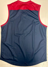 Load image into Gallery viewer, Unframed RON BARASSI Signed Melbourne Jumper

