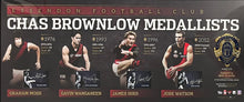 Load image into Gallery viewer, Essendon Brownlow Medallists - GRAHAM MOSS, GAVIN WANGANEEN, JAMES HIRD &amp; JOBE WATSON Signed Limited Edition Brownlow Medal Lithograph Display
