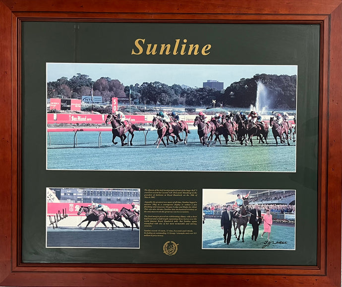 Sunline signed photo collage display