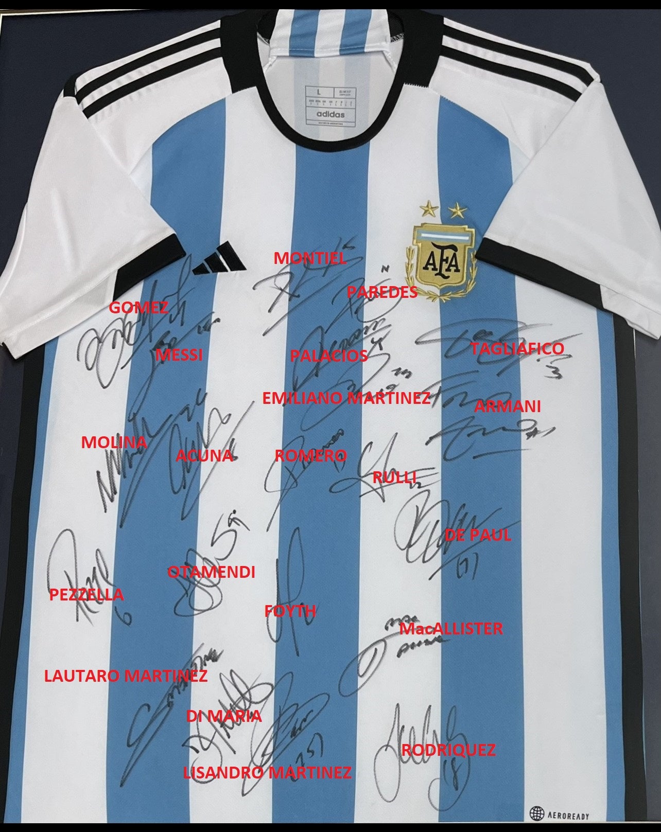 Argentina - FIFA World Cup 2022 Team Signed Jersey – Sports Online