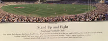 Load image into Gallery viewer, BOB DAVIS Signed &quot;Stand Up and Fight&quot; Print Display
