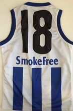 Load image into Gallery viewer, Unframed WAYNE CAREY &amp; DENIS PAGAN Signed &quot;1999 Premiers&quot; North Melbourne Jumper
