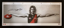 Load image into Gallery viewer, DYSON HEPPELL Signed WINGS Poster Display
