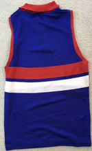 Load image into Gallery viewer, Unframed CHARLIE SUTTON, PETER BOX &amp; JOHN KERR “1954 Premiers&quot; Signed Footscray Jumper
