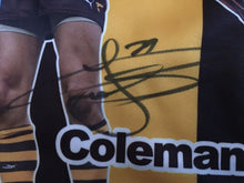 Load image into Gallery viewer, Unframed LANCE FRANKLIN Signed &quot;Career Statistics&quot; Hawthorn Jumper

