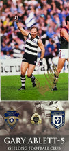 Load image into Gallery viewer, GARY ABLETT Snr Signed Career Print &amp; Medals Display
